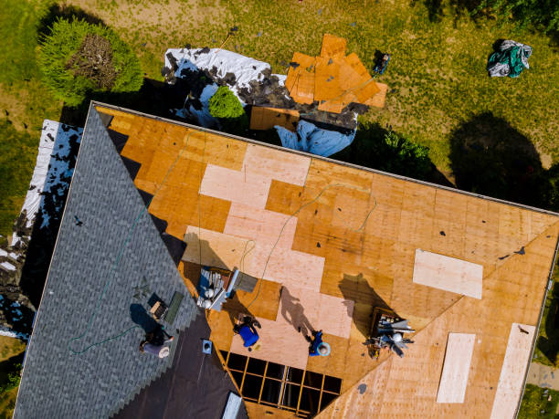 Best Roof Gutter Cleaning  in West Wareham, MA